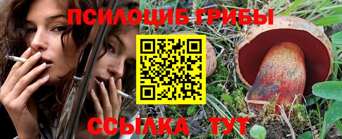 Псилоцибиновые грибы ЛСД  Галлюциногенные грибы MAGIC MUSHROOMS  Алексеевка 